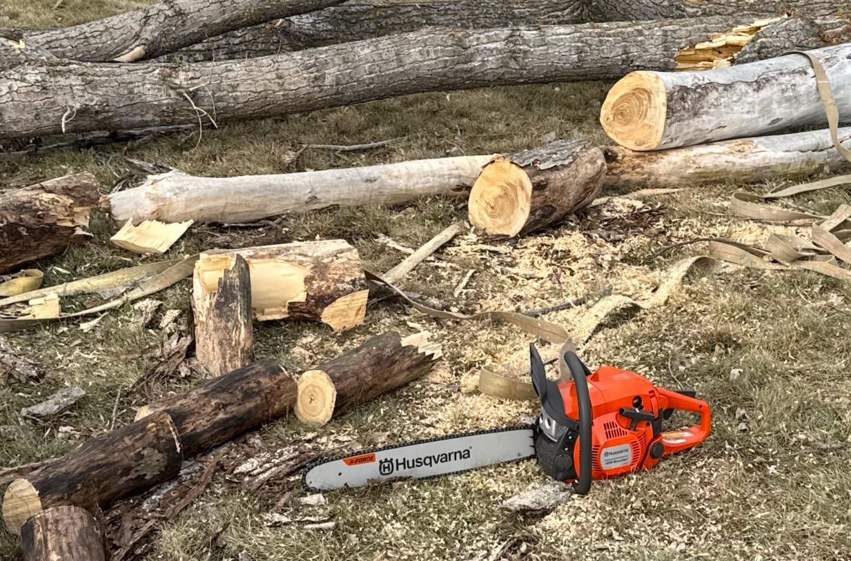 Husqvarna 450 Rancher 20 Inch Gas Chainsaw, 50.2-cc 3.2-HP, 2-Cycle X-Torq Engine, For Tree Pruning, Yard Cleanups and Firewood Cutting, 970613120 customer photo 2