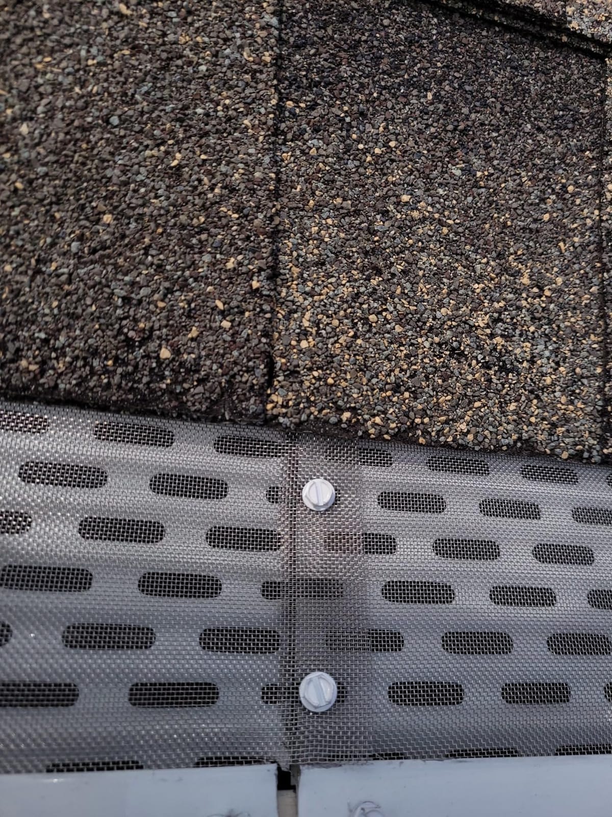 DIY Gutter Guards, 5 Inch, 48 FT, Stainless Mesh, White customer photo 2