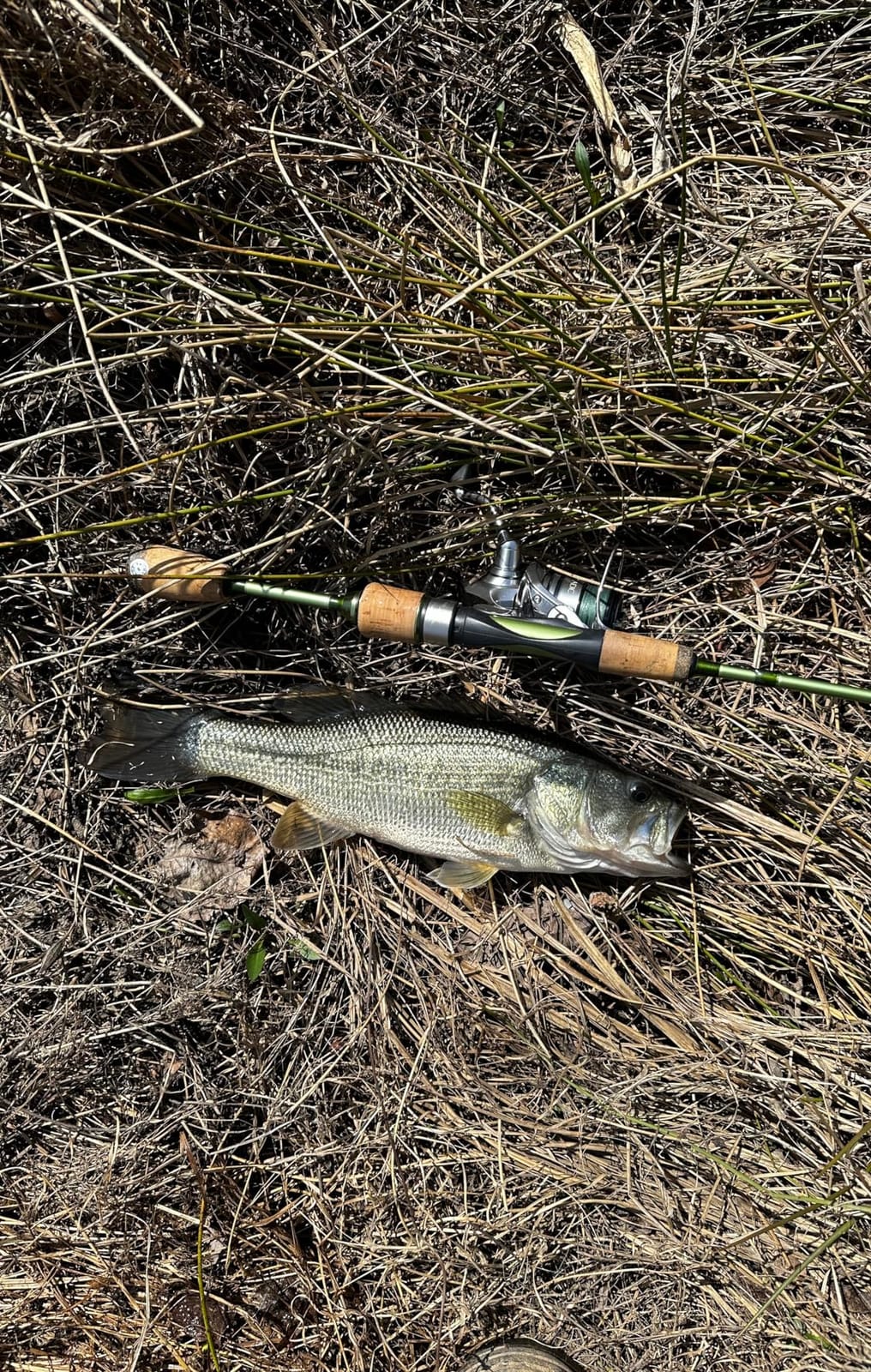 Temple Fork Outfitters Trout Panfish II Series Rods customer photo 2