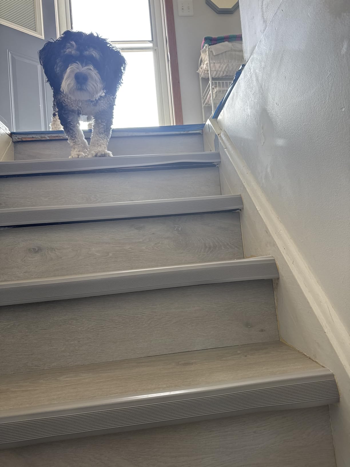 Trimold Vinyl Anti-Slip Stair Nosing, Self Adhesive Non-Slip Staircase Step, Flexible Rubber Treads Edge Protector Molding Trim for Outdoor & Indoor Uses (16.4ft, Gray) customer photo 1