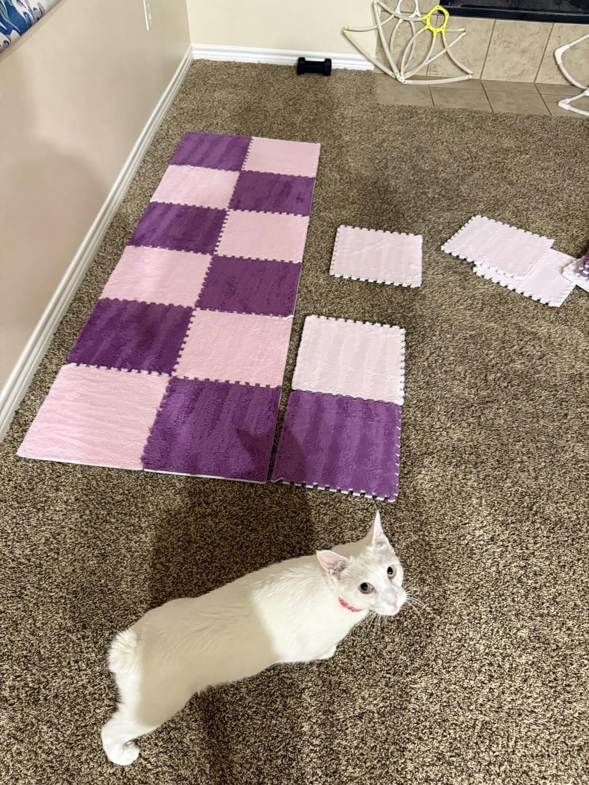 12pcs Plush Puzzle Foam Floor Mat, Soft Thicken Fluffy Interlocking Square Foam Tiles Area Rugs Carpet for Parlor Bedroom Decoration(11.8x11.8x0.55in,Rose Red&Pink) customer photo 2