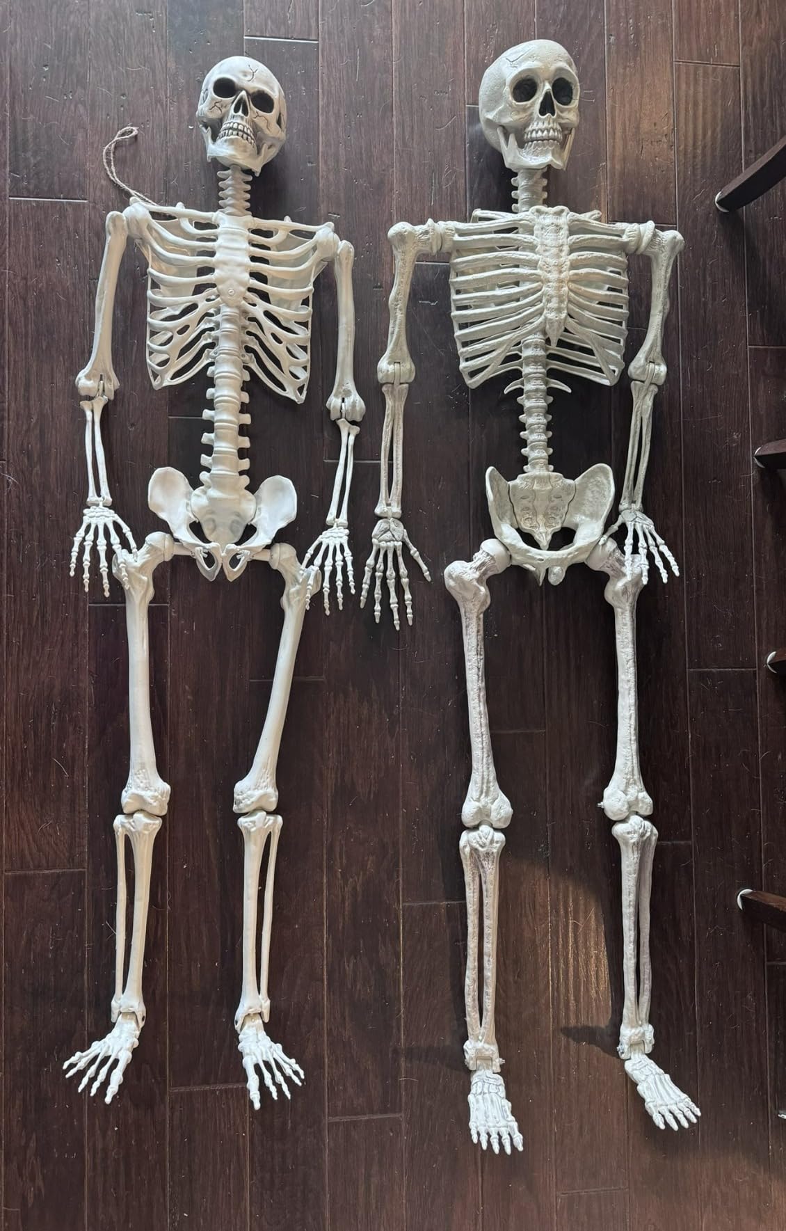JOYIN 5.6 FT Halloween Posable Life Size Skeleton, Full Body Realistic Bones with Movable Joints customer photo 2