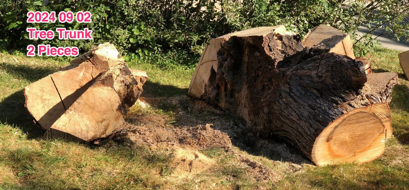 EGO POWER+ Chain Saw, 20” Battery Powered Chainsaw, Electric Cordless, Battery and Charger Not Included – CS2000 customer photo 1