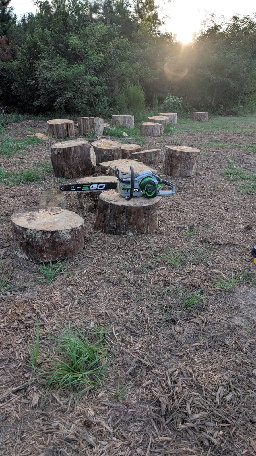 EGO POWER+ Chain Saw, 20” Battery Powered Chainsaw, Electric Cordless, Battery and Charger Not Included – CS2000 customer photo 2