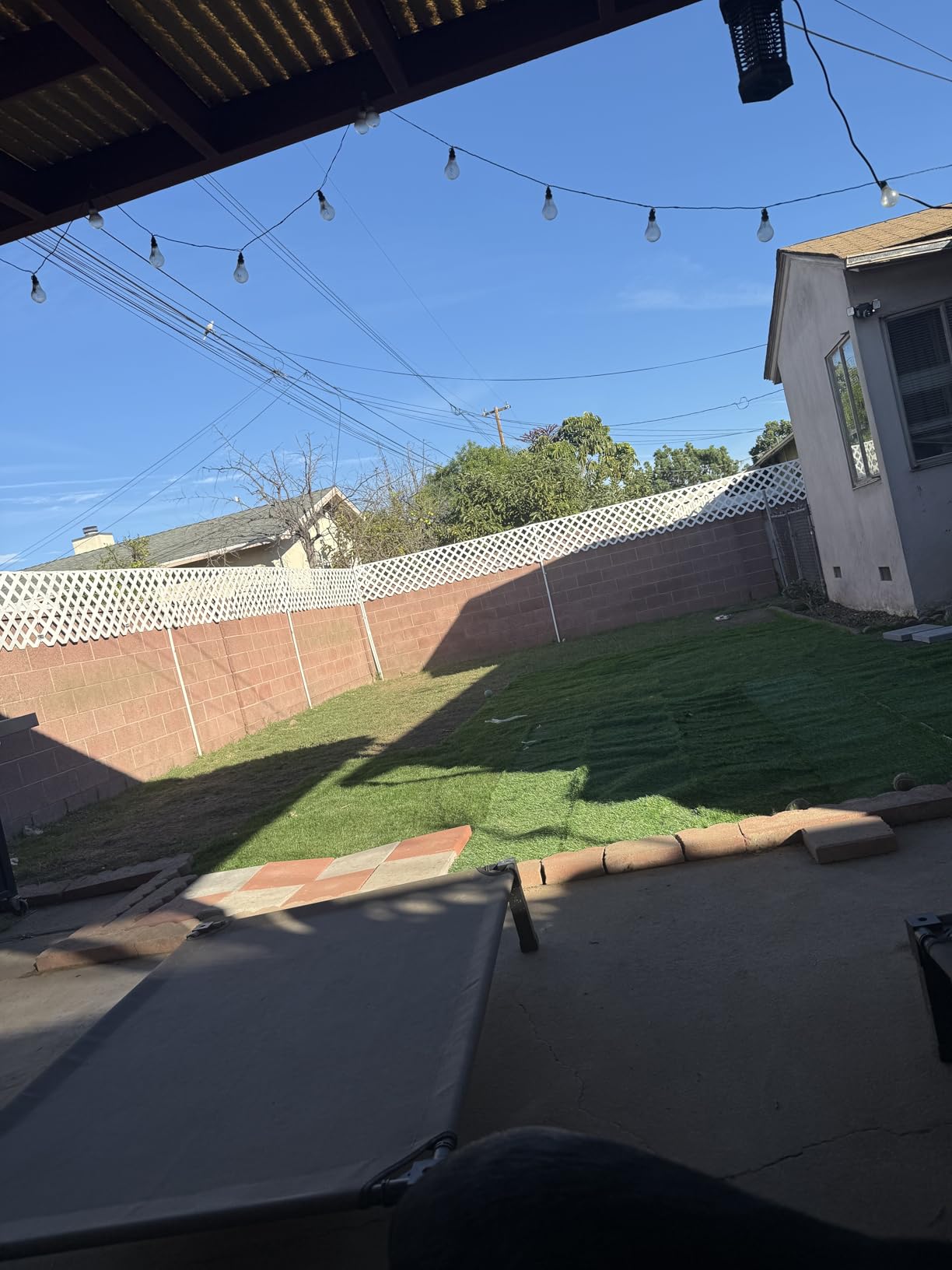 LOOBANI Synthetic Artificial Grass, 3 ft x 5 ft, Turf Grass for Dogs Potty customer photo 2