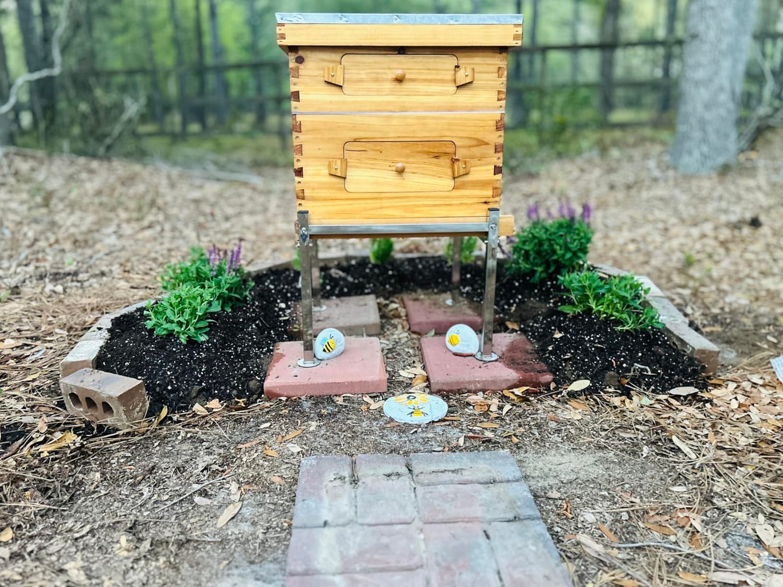 Honey Lake Bee Hive with Windows, 8 Frame Langstroth Complete Beehive Starter Kit Dipped in Beeswax with Beehive Frames and Waxed Foundations (1 Deep Brood Bee Hive Box & 1 Medium Super Bee Box) customer photo 2