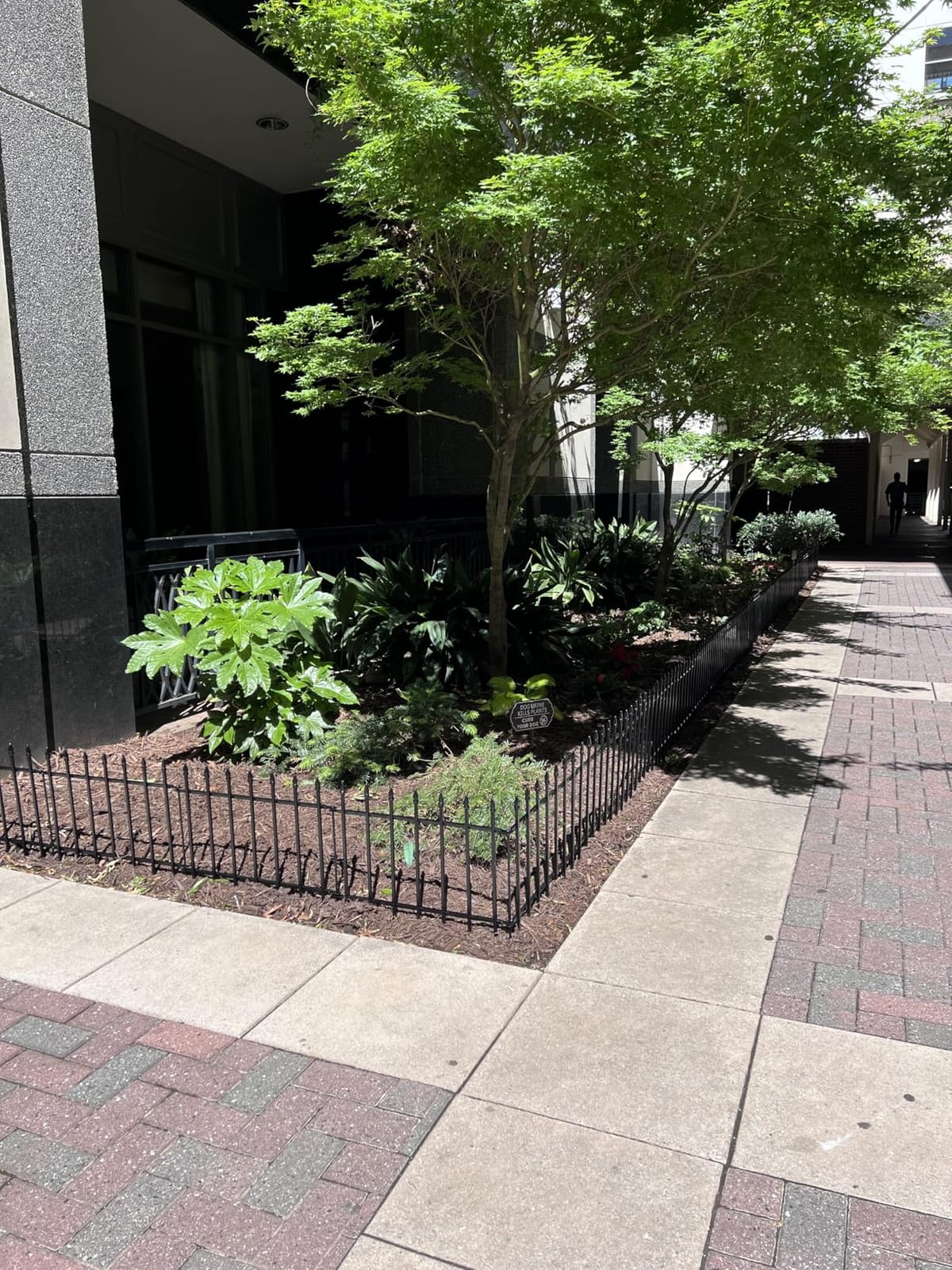 Decorative Metal Garden Fence with Gate 36