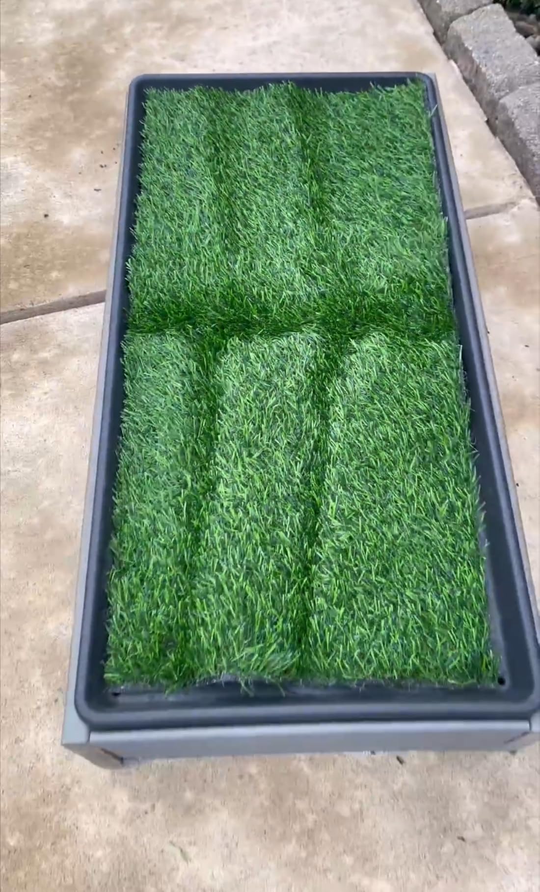 Artificial Turf Grass Outdoor: 6x10FT Fake Grass Mat with Drainage Holes customer photo 1
