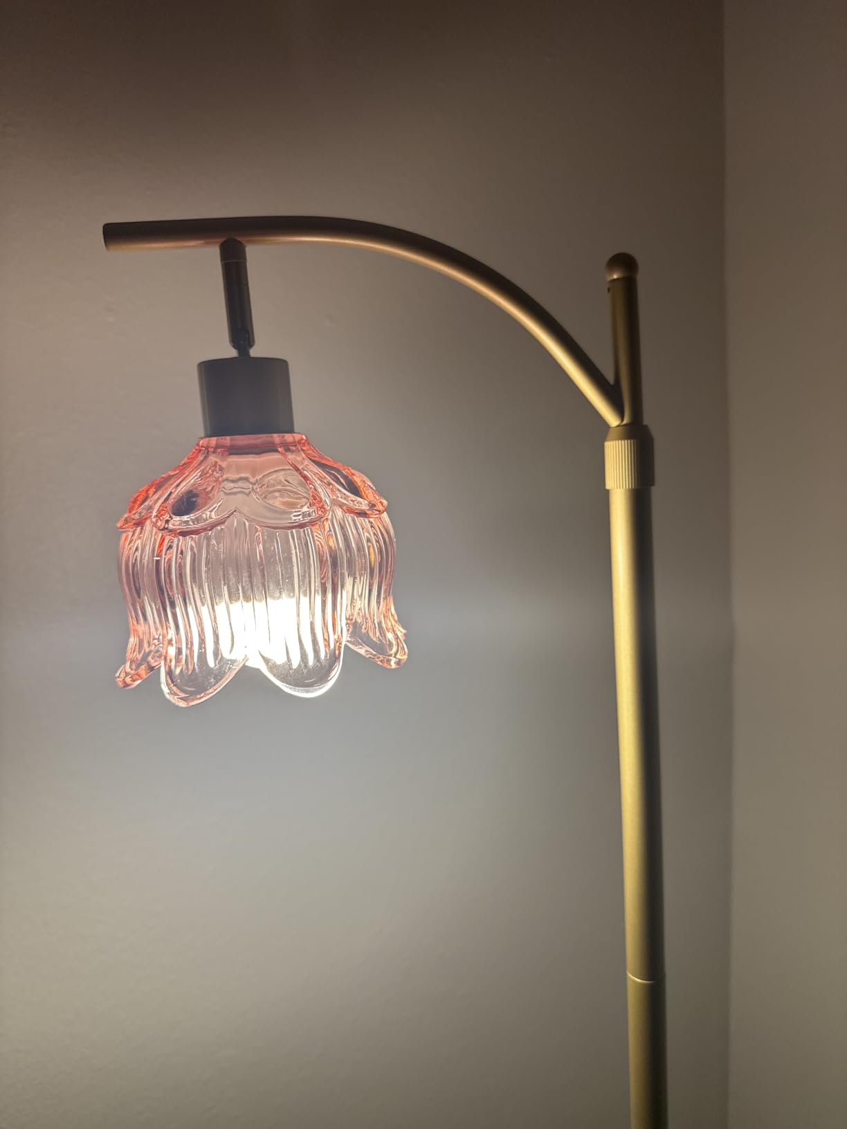 ILLMTW Rattan Floor Lamp for Living Room Bedroom Boho Arc Standing Lamp with Remote Dimmable Black Farmhouse Wicker Bamboo Lamp Shade Floor Light Tall Lamp Industrial Floor Lamps Bohemian Decor customer photo 2