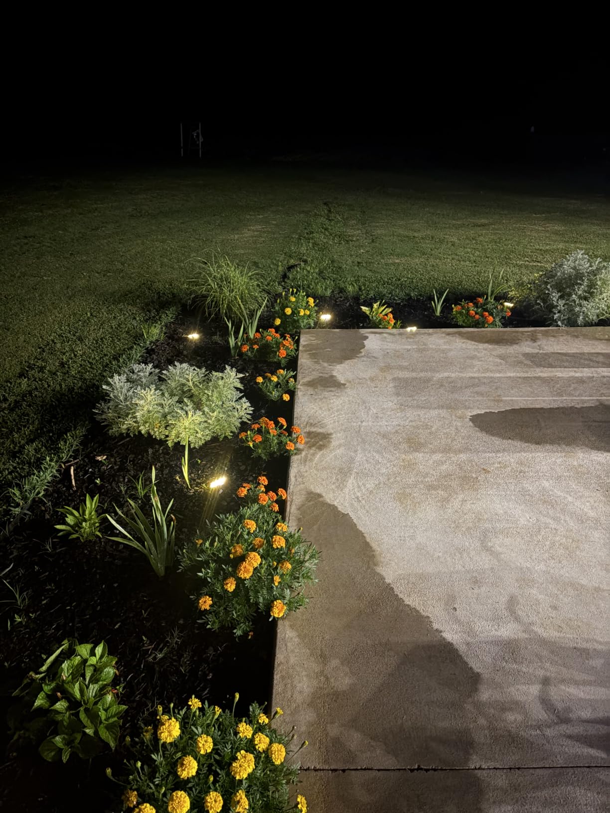 btfarm 16 Pack Solar Lights Outdoor Waterproof, 8 LED Solar Ground Lights | Stainless Steel, Easy-to-Install Flat Solar Disc Lights, Pathway Lights for Garden Lawn Patio Yard Path Landscape, Cool White customer photo 1