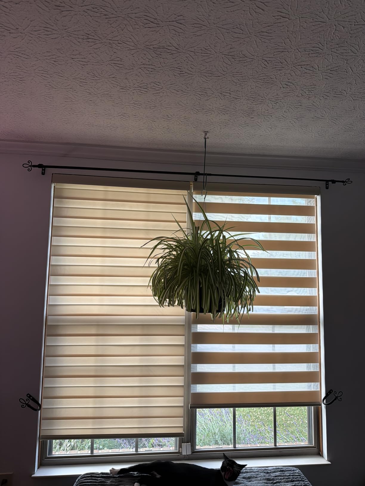 ChrisDowa Cordless Zebra Blinds for Windows, Light Filtering Roller Shades | 34