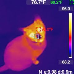 MILESEEY TR10 Thermal Imaging Camera, 192 × 192 IR Resolution, 25Hz customer photo 1