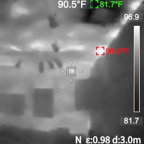 MILESEEY TR10 Thermal Imaging Camera, 192 × 192 IR Resolution, 25Hz customer photo 2