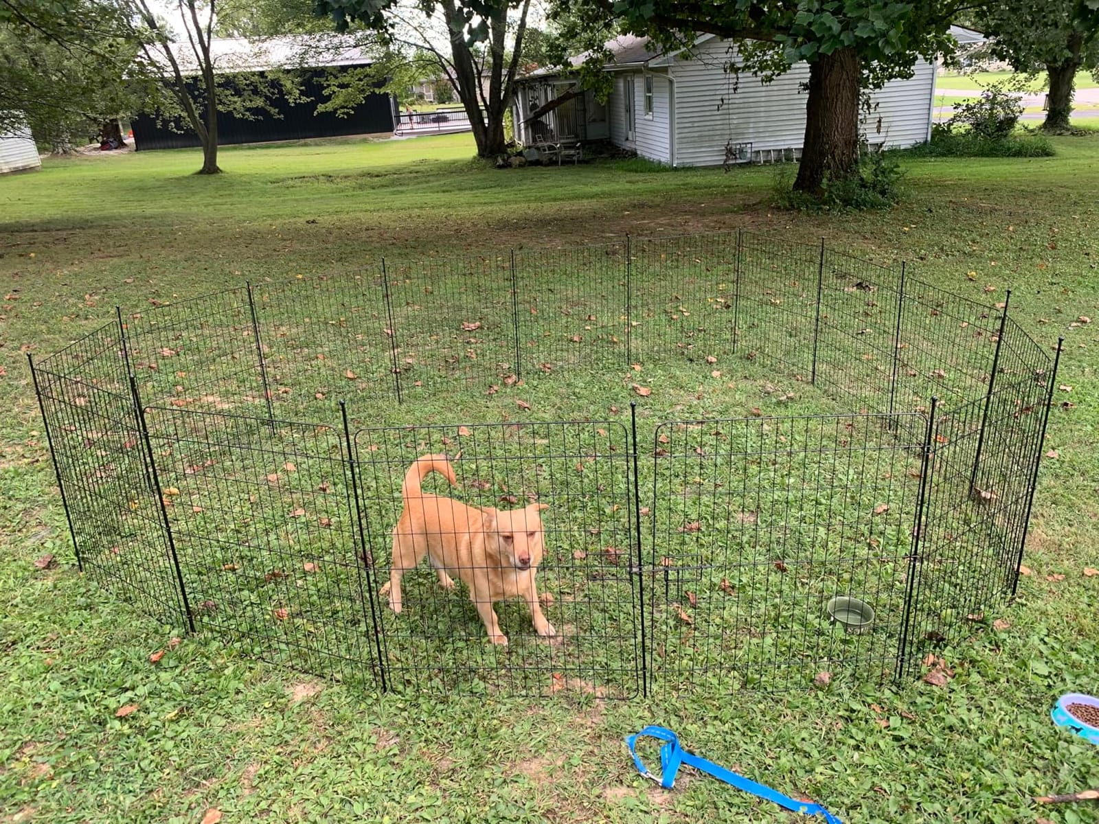15 Panels No Dig Fence with Gate, 32 in(H) X 36 ft(L) Garden Decorative Fence Animal Barrier for Dogs, Rustproof Metal Garden Edging Border for Outdoor, Yard, Patio, Black customer photo 1
