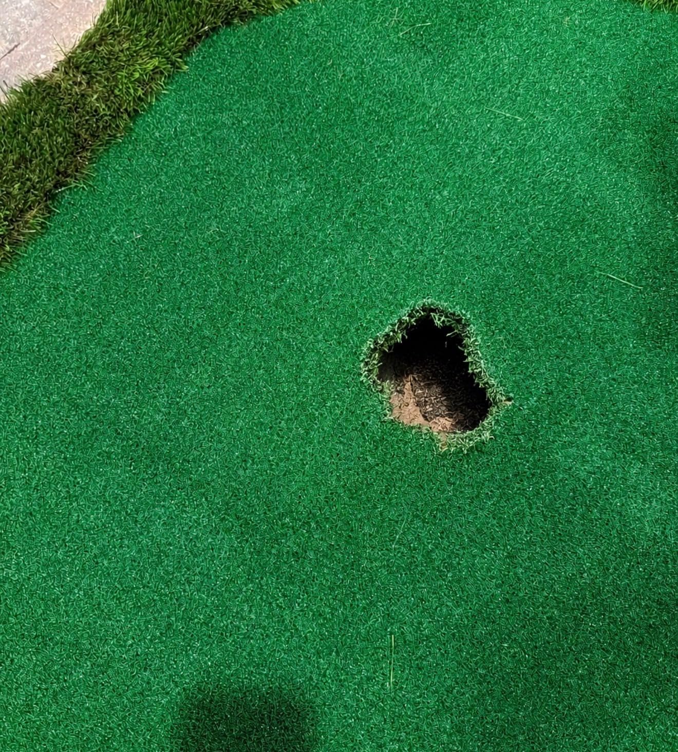 Golf Putting Green Indoor Outdoor Large Practice Putting Mat 5x10ft/5x12ft customer photo 1