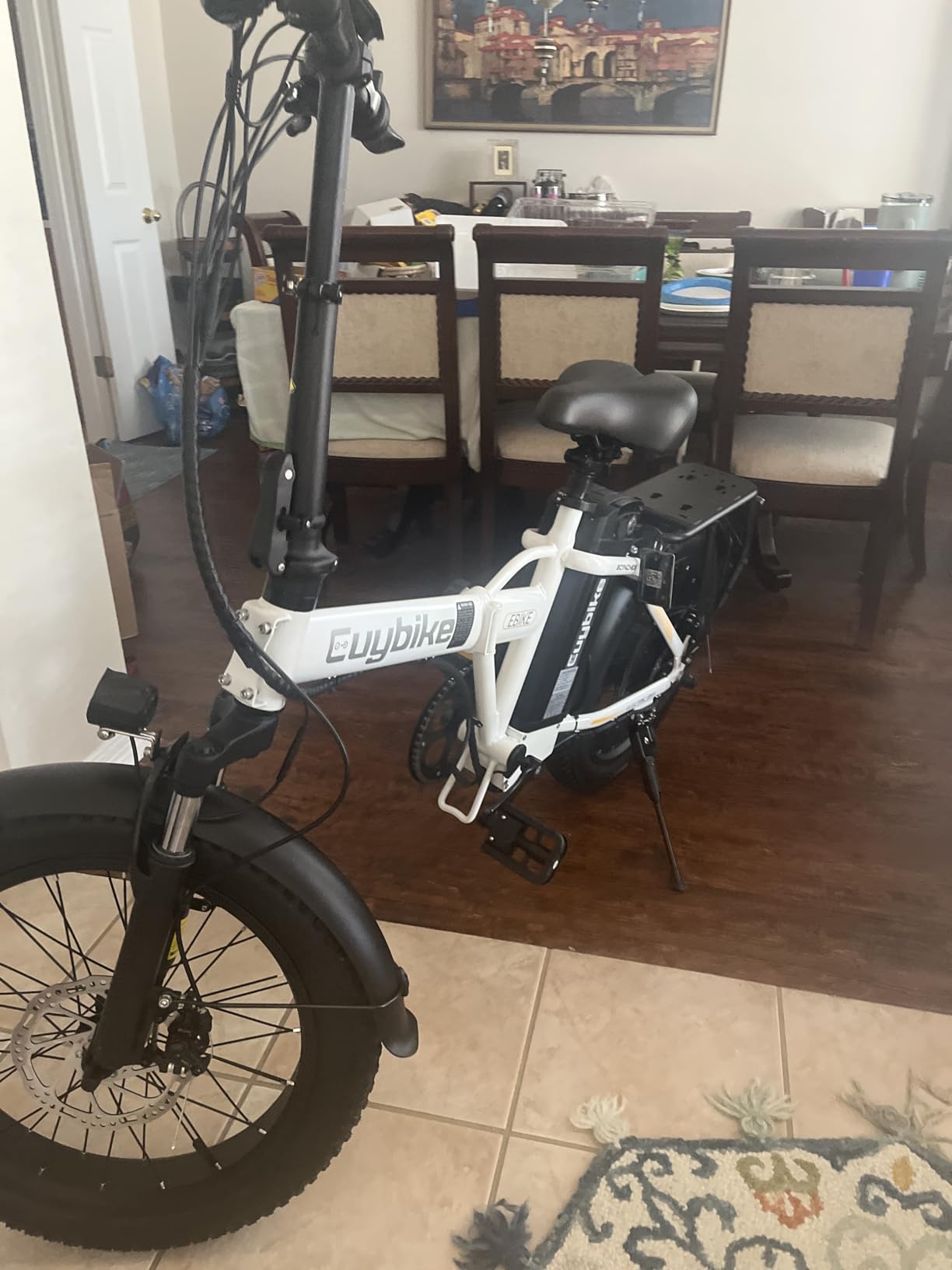1000W Folding Electric Bike,48V 20AH Removable Battery E Bike,80 Miles Max Range Electric Bike for Adults,20