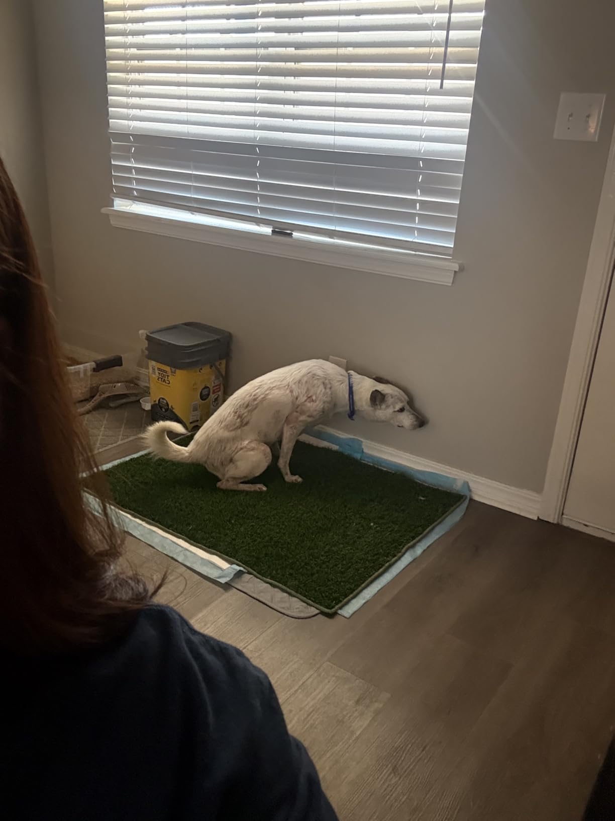 HQ4US 4LEGS Grass Pee Pads for Dogs Potty, Artificial Grass Patch Odor Free customer photo 2