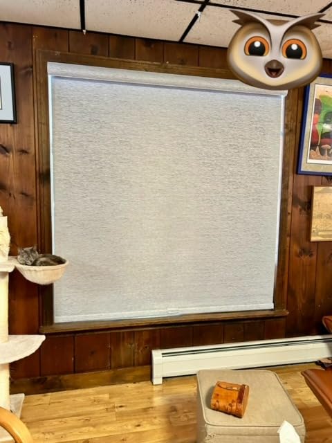 Boolegon Motorized Roller Blinds with Remote Control, Blackout Linen Fabric-Matched Automatic Roller Shades for Windows, Rechargeable Electric Window Shades for Home, Office, Black, Custom Now customer photo 2