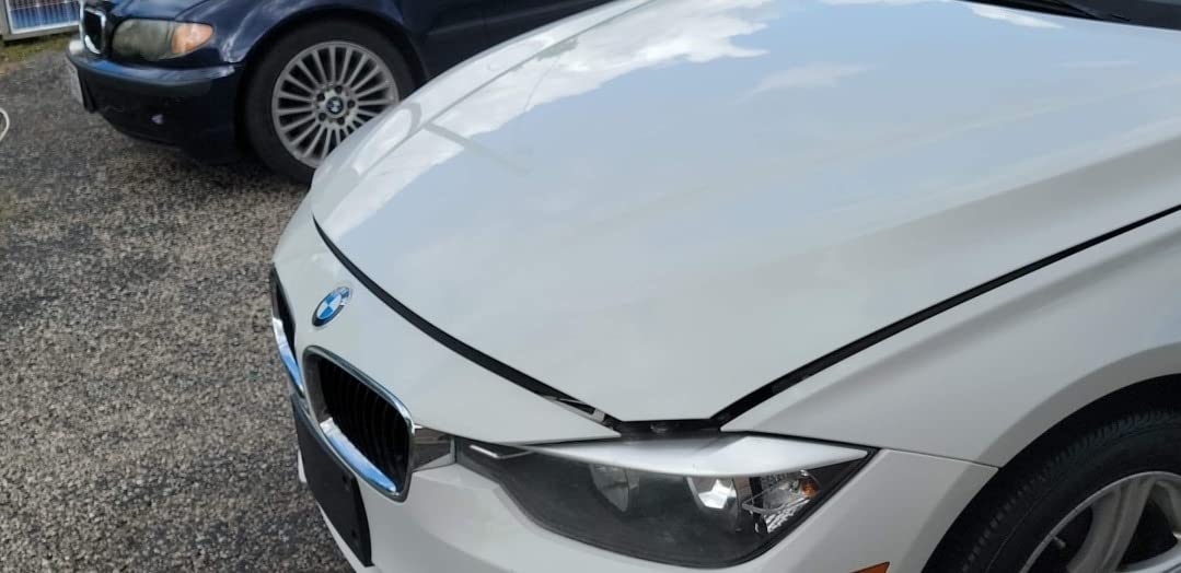ScratchesHappen Exact-Match Touch Up Paint Kit - Mineral Silver Metallic (A14/WA14) for BMW - Essential (Paint + Clear Coat) customer photo 2