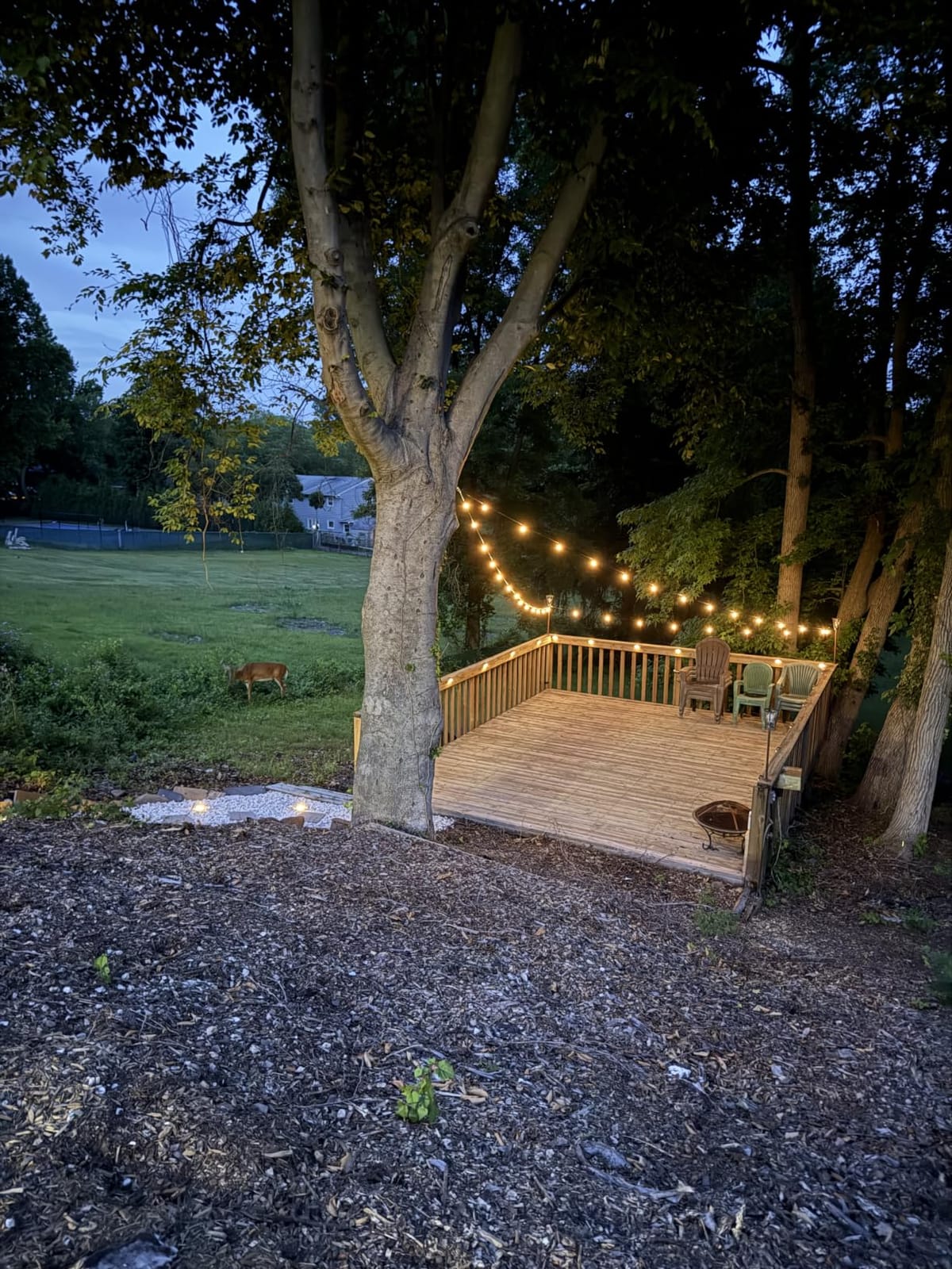 Brightown 108FT 52LED Solar String Lights Outdoor with Remote & USB Port customer photo 2
