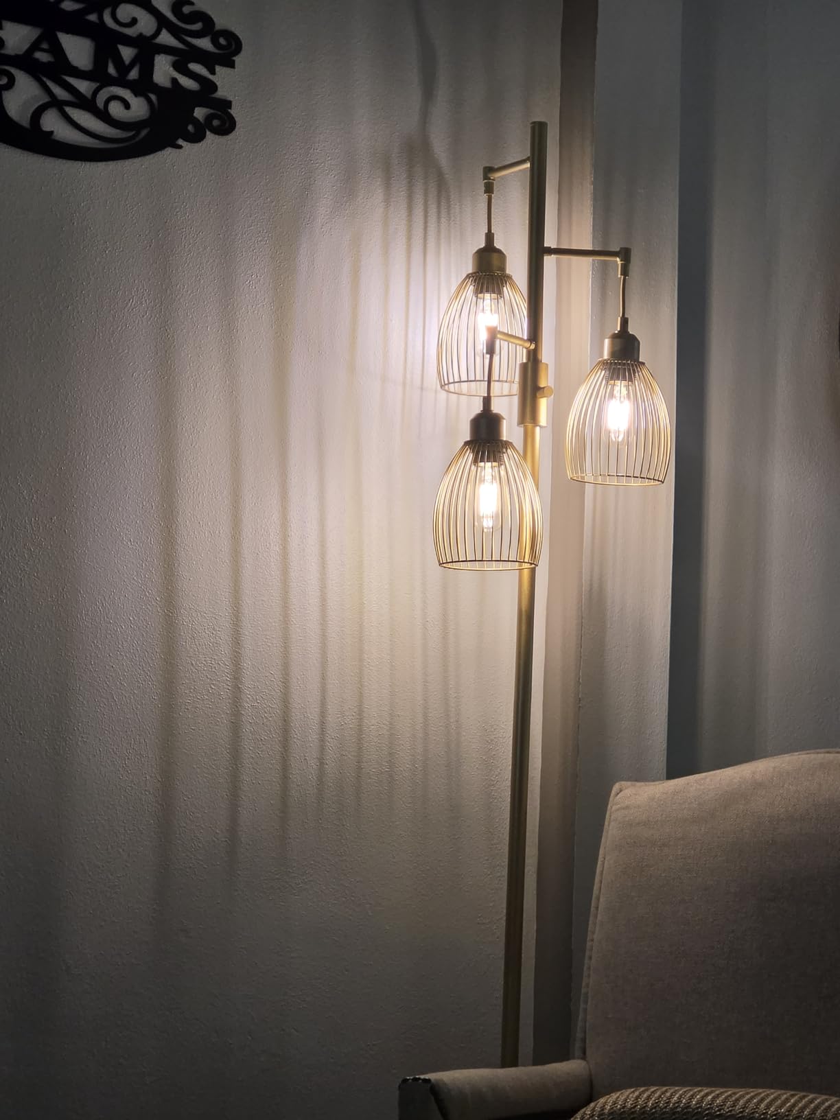 Torondo Dimmable Farmhouse Industrial Floor Lamp, Matte Brown Tree Standing Tall Lamps with 3 Elegant Teardrop Cage Head & 800 Lumens LED Edison Bulbs for Living Room Bedroom Office Dining Room customer photo 1