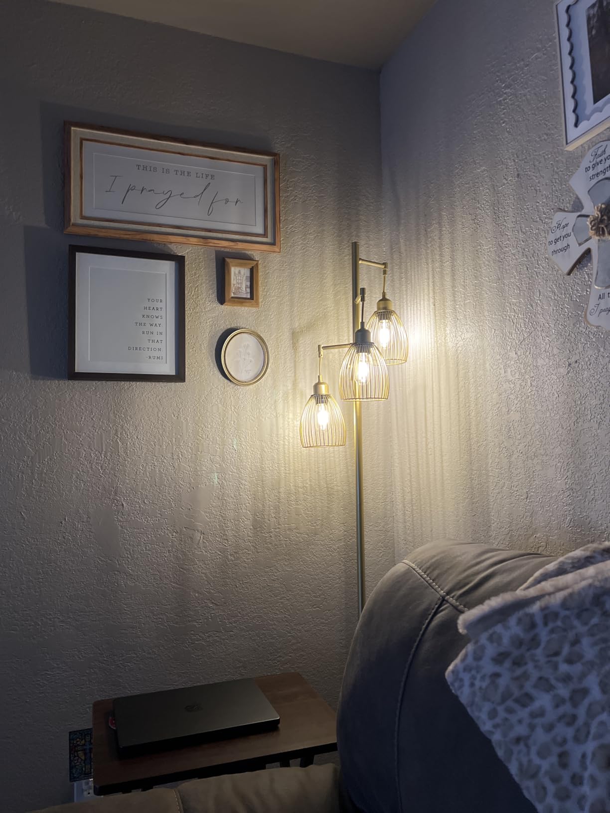 Nintiue Dimmable Floor Lamp,3x800LM LED Bulbs Included, Farmhouse Industrial Floor Lamp Standing Tree Lamp with Teardrop Cage Head Tall Lamp for Living Room Bedroom Office Dining Room - Matte Brown customer photo 2