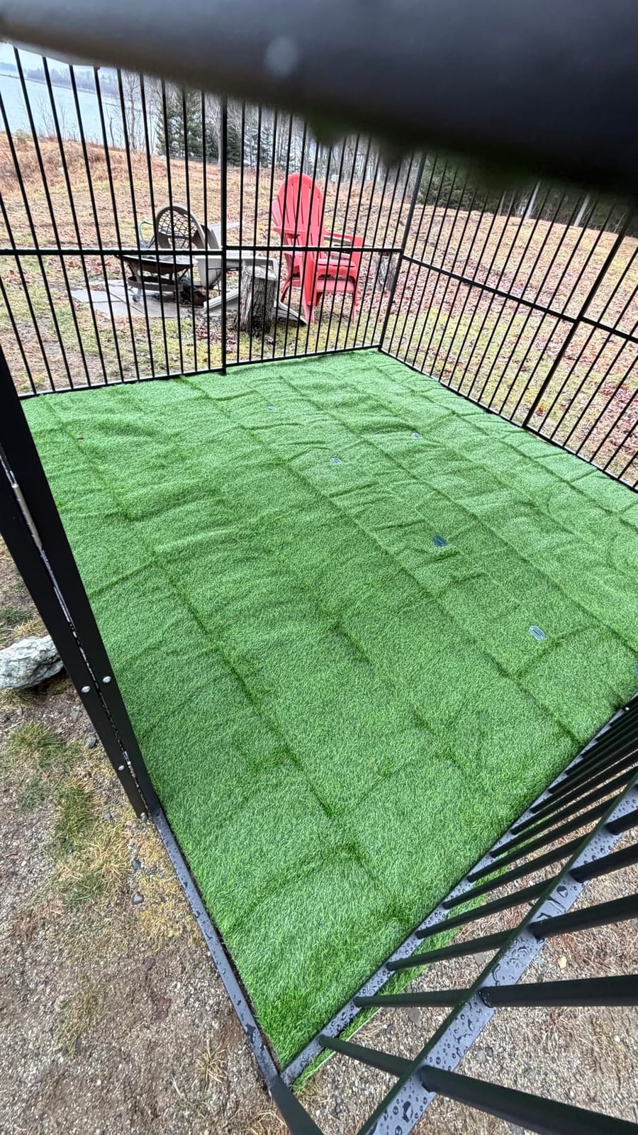 Artificial Grass Fake Turf Grass Outdoor Indoor with Drainage Holes, 3x5FT customer photo 2