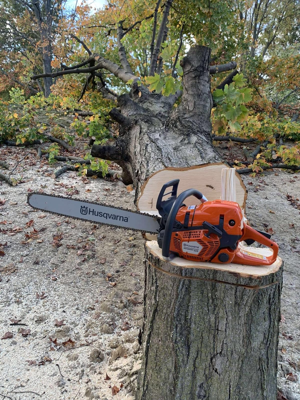 Husqvarna 555 Professional Gas Chainsaw, With X-Cut Chain, Outdoor Tools | Gas powered chainsaw, for professional felling, limbing, and bucking small and midsize trees, Smart Start and AutoTune customer photo 1