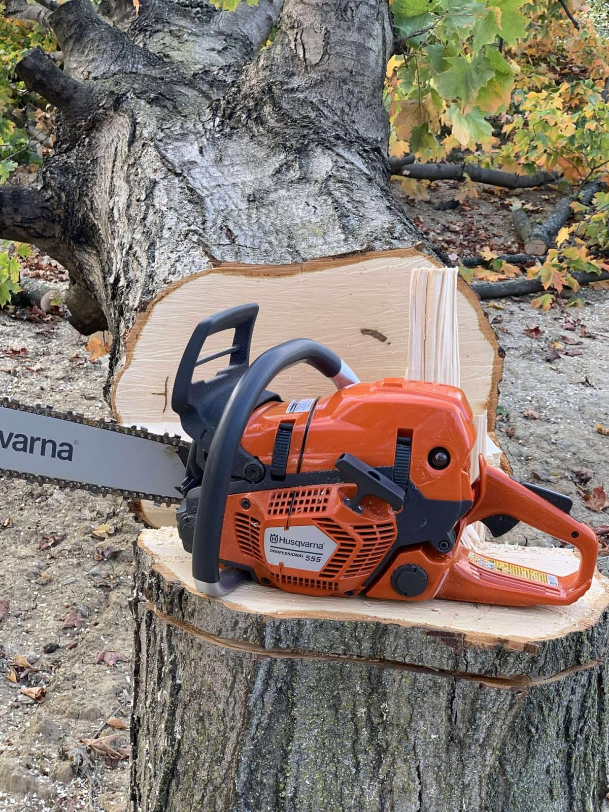 Husqvarna 555 Professional Gas Chainsaw, With X-Cut Chain, Outdoor Tools | Gas powered chainsaw, for professional felling, limbing, and bucking small and midsize trees, Smart Start and AutoTune customer photo 2