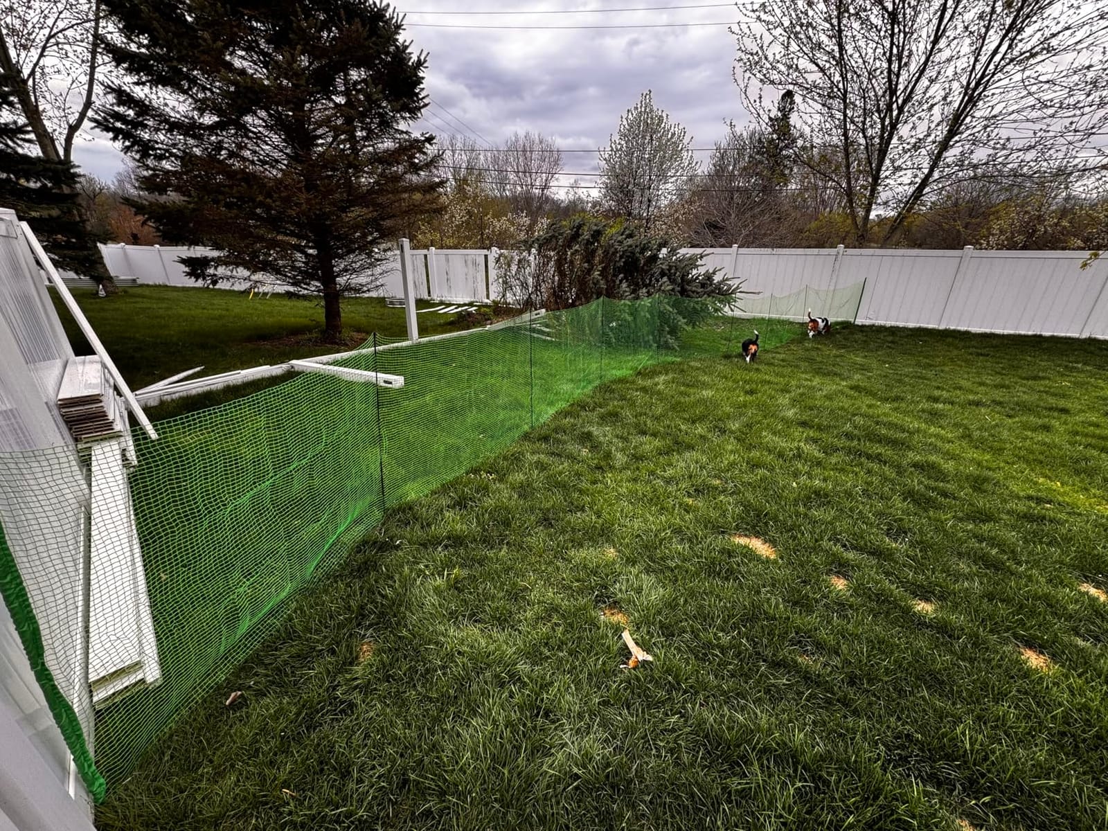 Temporary Fence Gate,3' Height,Garden Fence Mesh Door, Free Open and Close Boundary for Garden Backyard Outdoor Animal Protect, Non Electric Safe for Children and Dog customer photo 2