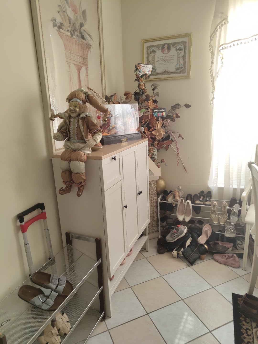 Eltean Metal Shoe Cabinet with Doors, 47
