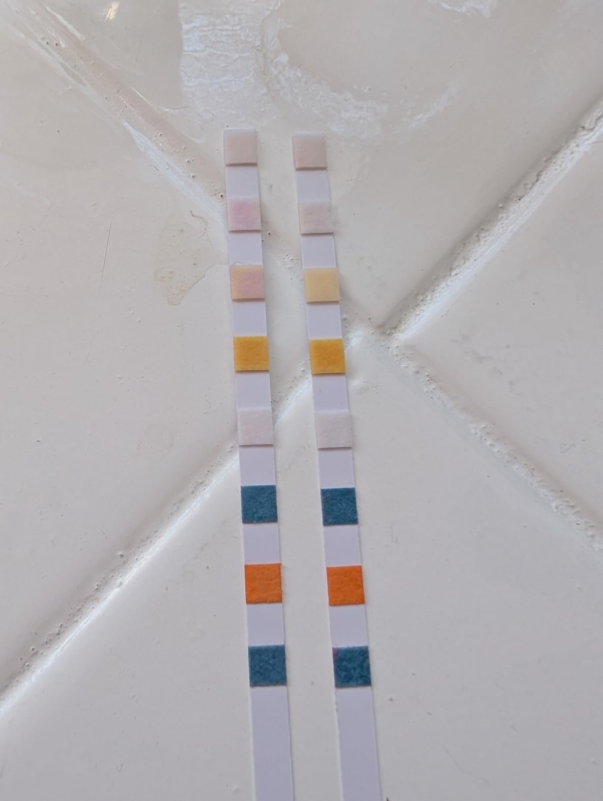 Heavy Metals Water Test Strips (125 Strips), 8 in 1 Home Water Test customer photo 1