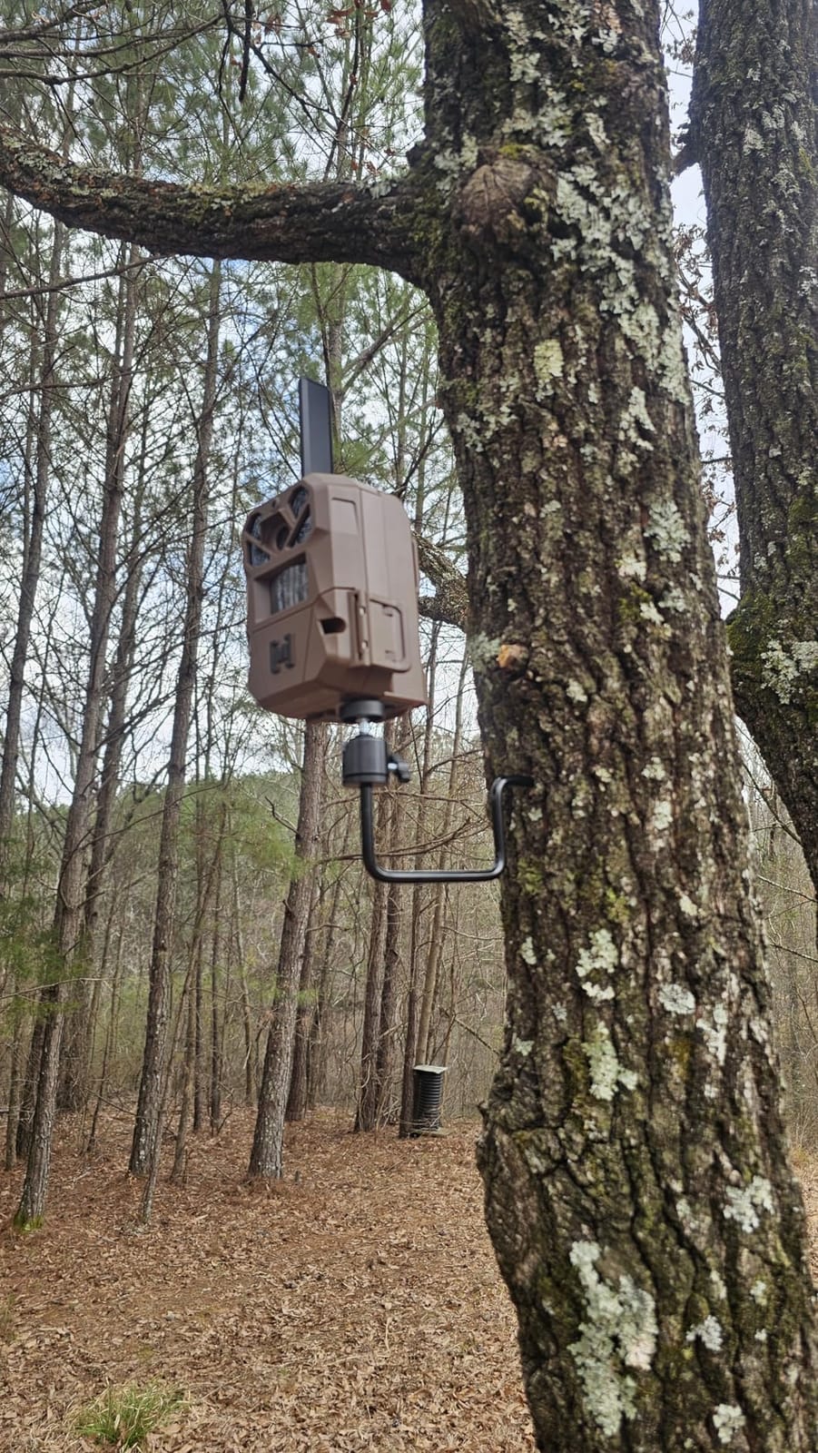 Trail Camera Tree Mount: 360 Degrees Adjustable Game Camera Mount with 1/4 inch Screw, Easy Installation & Compact Sturdy customer photo 2