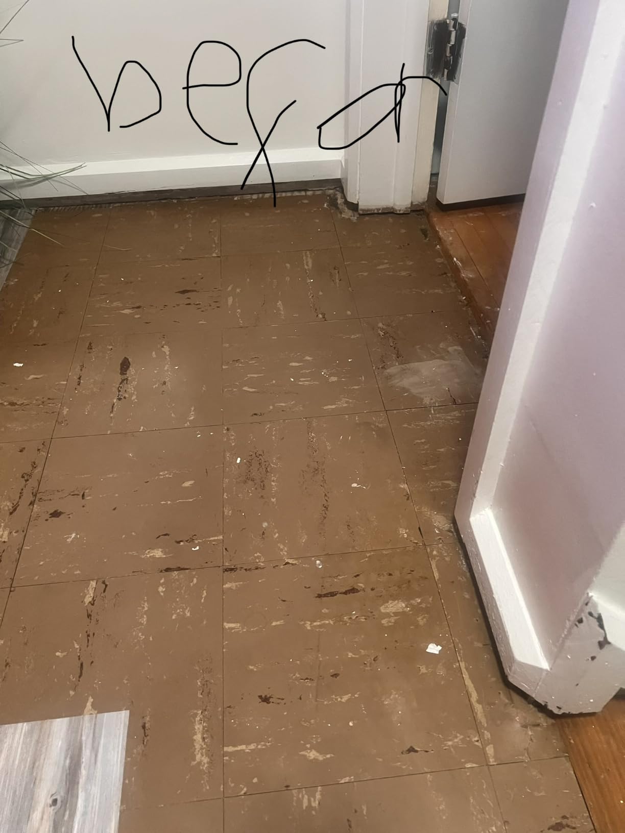 Wood Grain Peel and Stick Floor Tiles, 11.8
