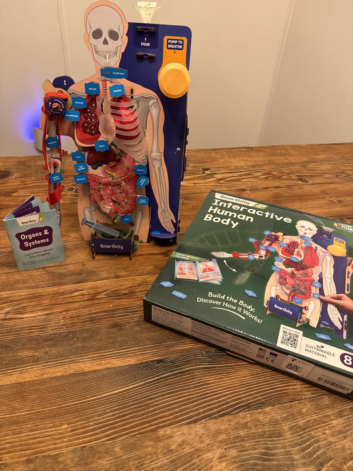 Smartivity DIY Interactive Human Body Model for Kids 8-14 Years | Dynamic Body Parts & Organs + Learning Booklet | Educational STEM Toy | Birthday Gift for Boys & Girls 8-14 Years customer photo 1