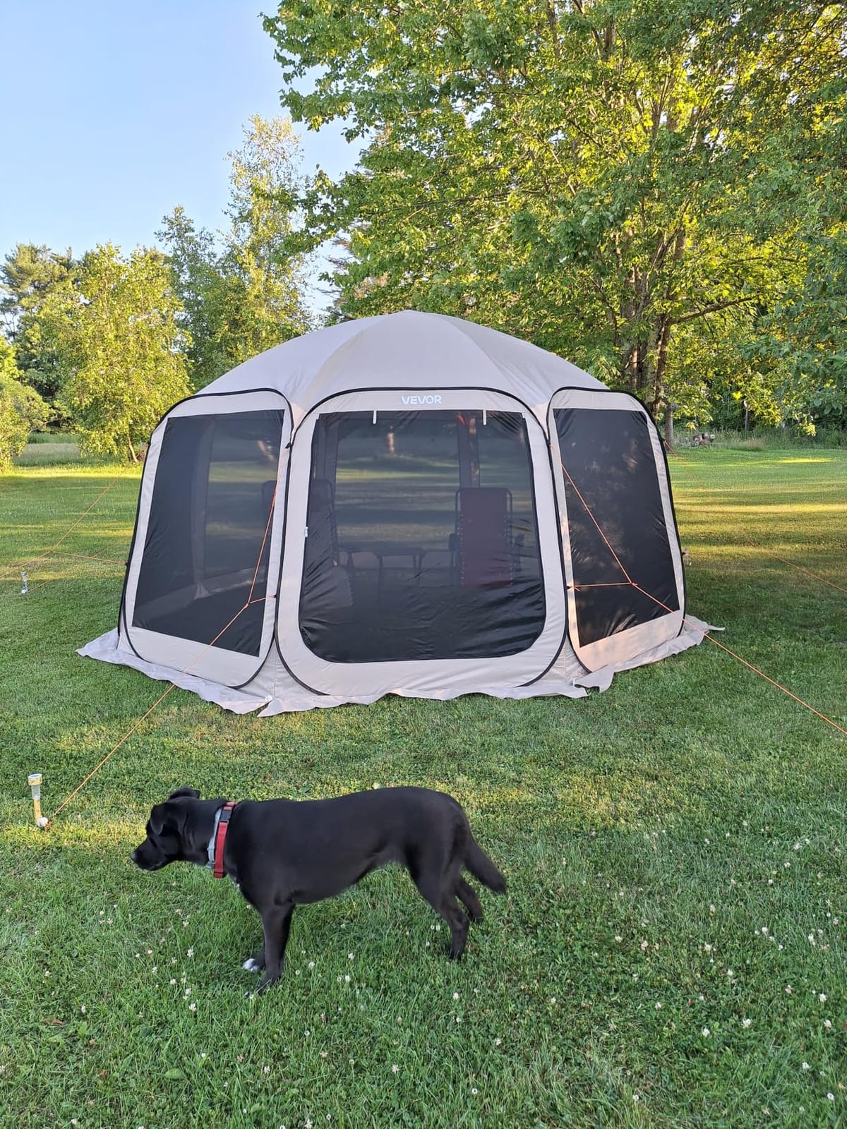 VEVOR SUV Tailgate Tent, 6 x 6 ft Pop-Up Screen House Canopy for 4–6 Person, Portable Screened Shelter with Carry Bag, for Car Camping, Backyard, Patio, Outdoor Activities customer photo 2