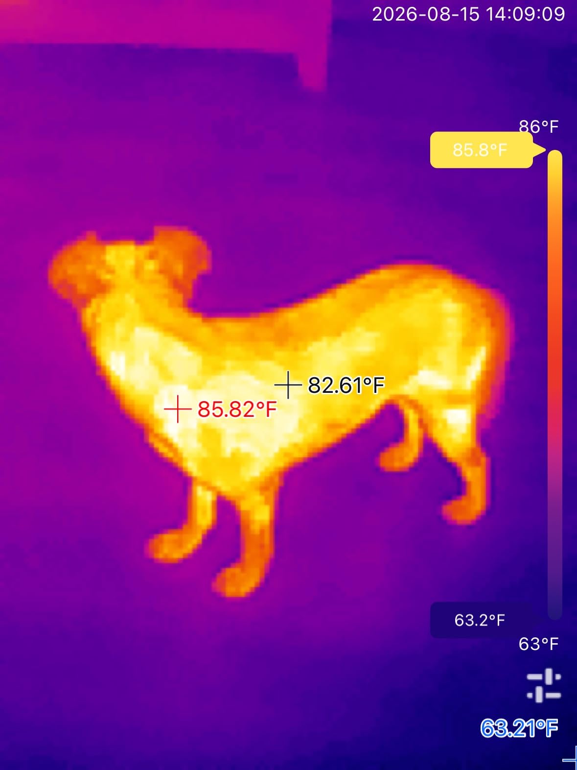 REVASRI Thermal Camera for iPhone and Android, 320×240 Super IR Resolution | Thermal Imaging Camera, 25Hz, 15x Digital Zoom, Type-C plug design, suitable for home leak, HVAC and electrical inspection customer photo 1