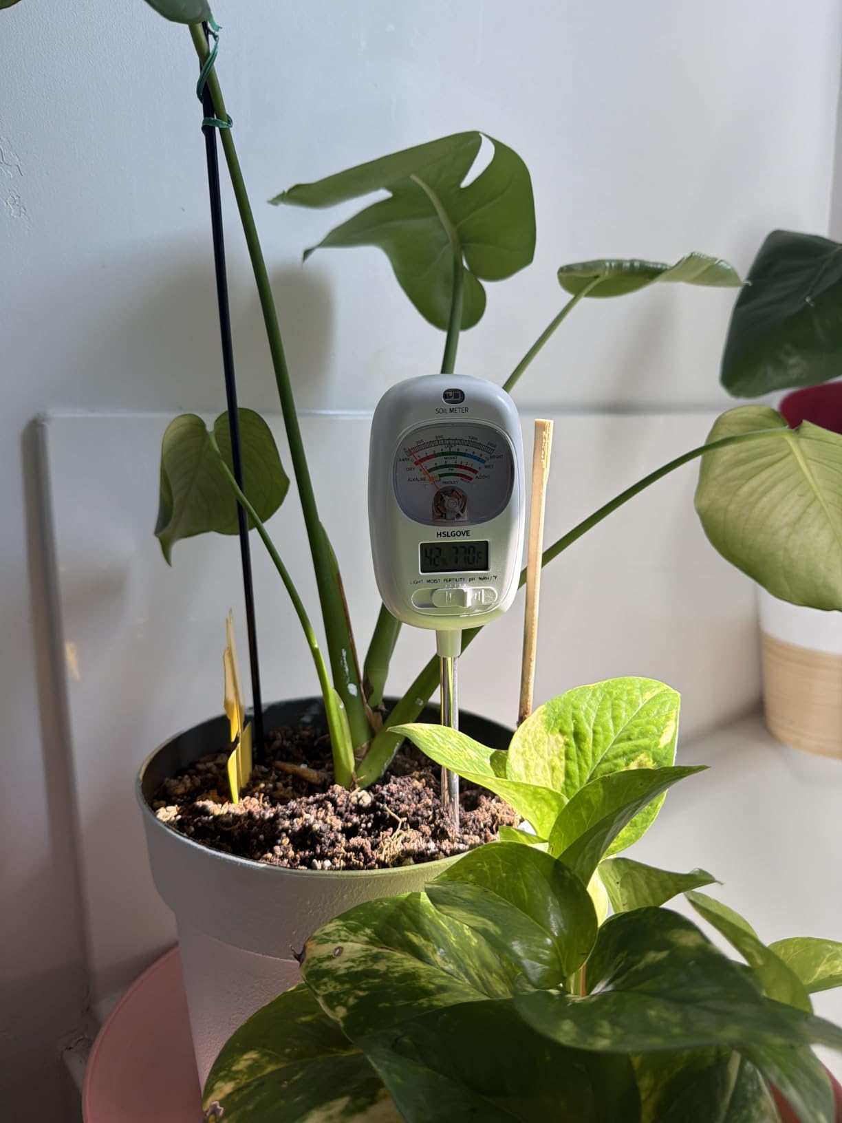 HSLGOVE Soil Test Kit, 7-in-One Soil Moisture Meter/Soil PH Meter/Fertility, Dual Screen Soil Tester w/Digital Soil Temp/Air Temp&Humidity for Plants Gardening,Lawn,Farm Indoor&Outdoor-Lvory White customer photo 2