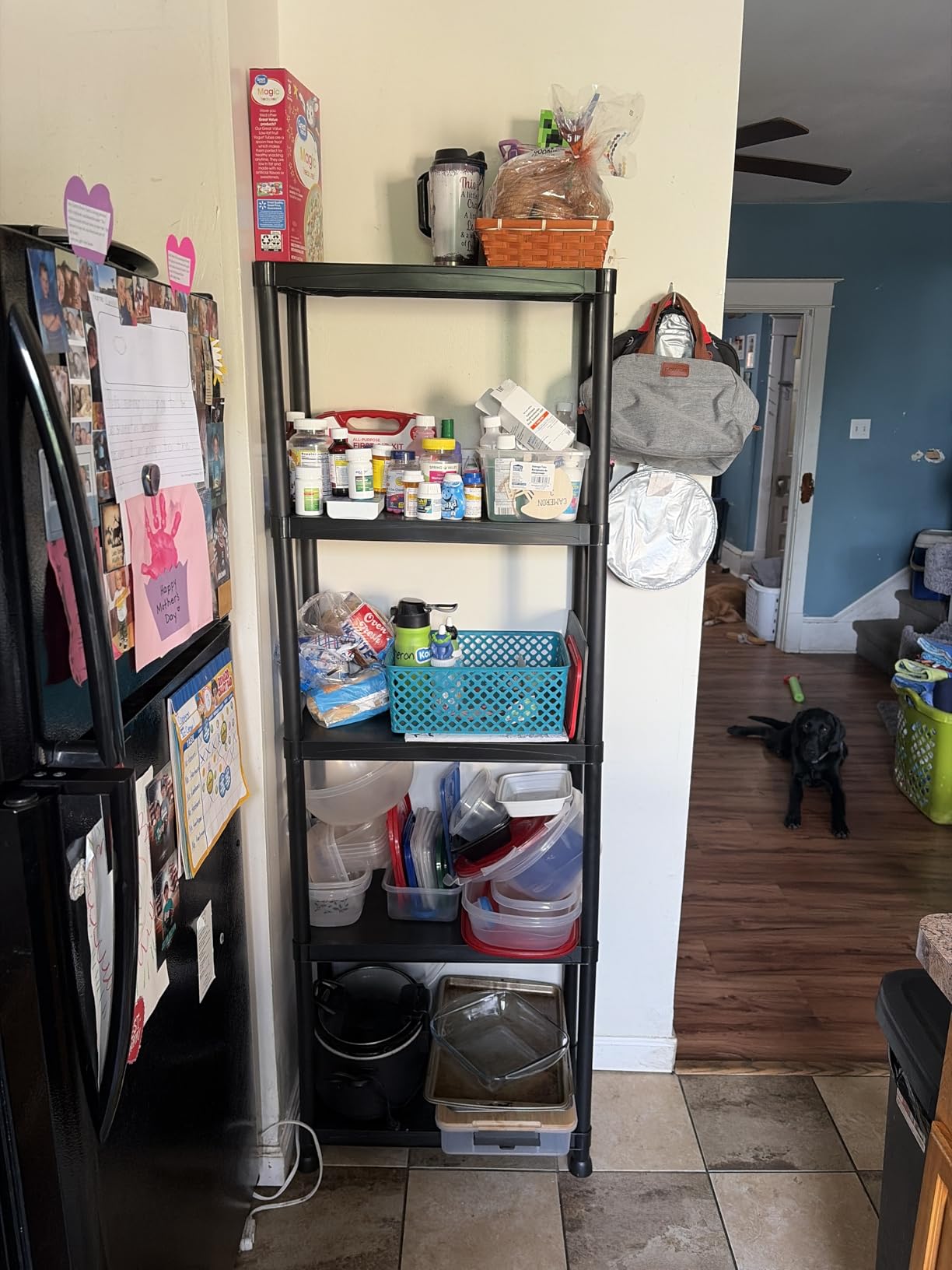 Plastic Storage Shelves, Heavy Duty Shelving Units, 700LBS customer photo 2