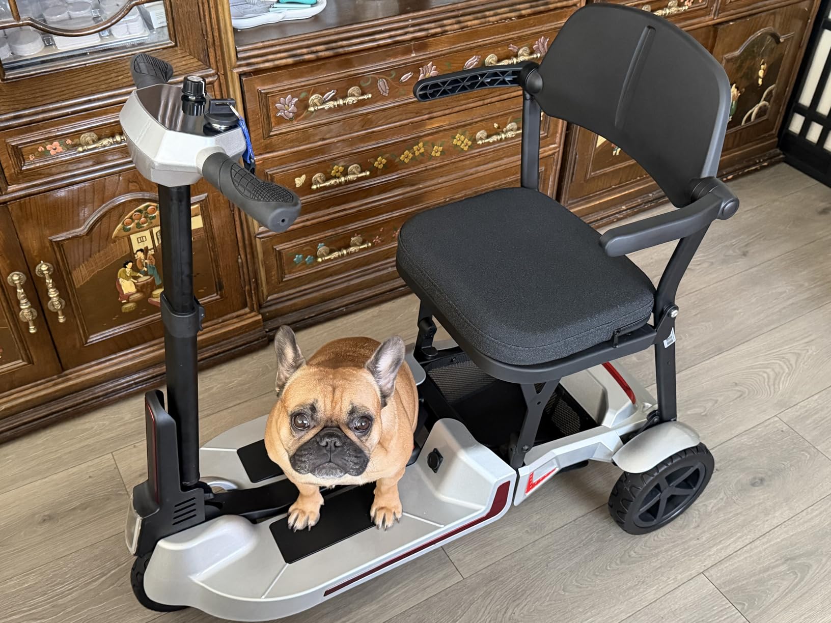 Lightweight Mobility Scooters for Seniors&Adults, Foldable 3 Wheel Scooter customer photo 2