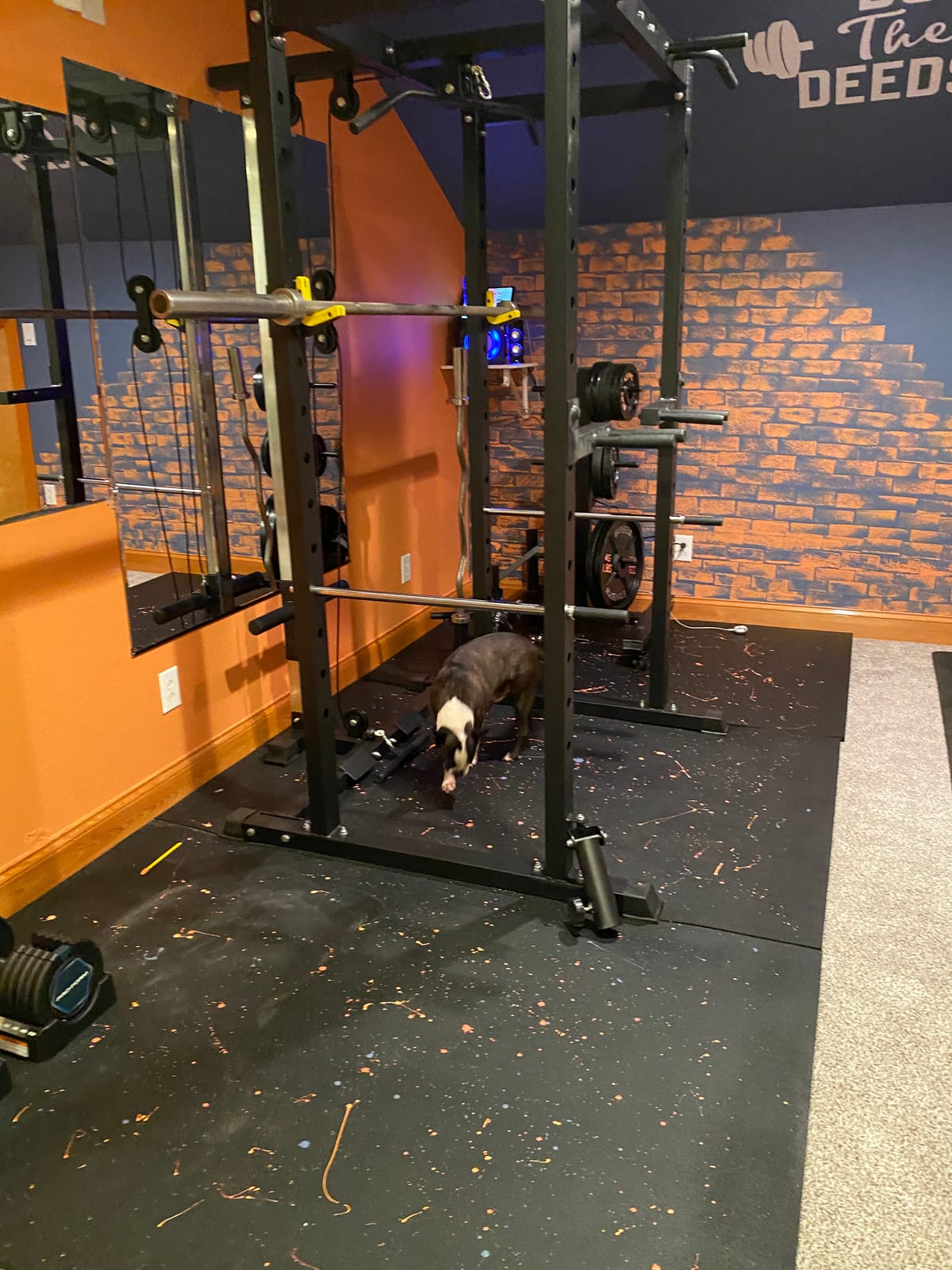 Mikolo M4 2.0 Lite Smith Machine, 2200LBS Power Cage with LAT Pulldown & Cable Crossover, All-in-One Home Gym Squat Rack with Aluminum Pulley System for Full-Body Workouts customer photo 1