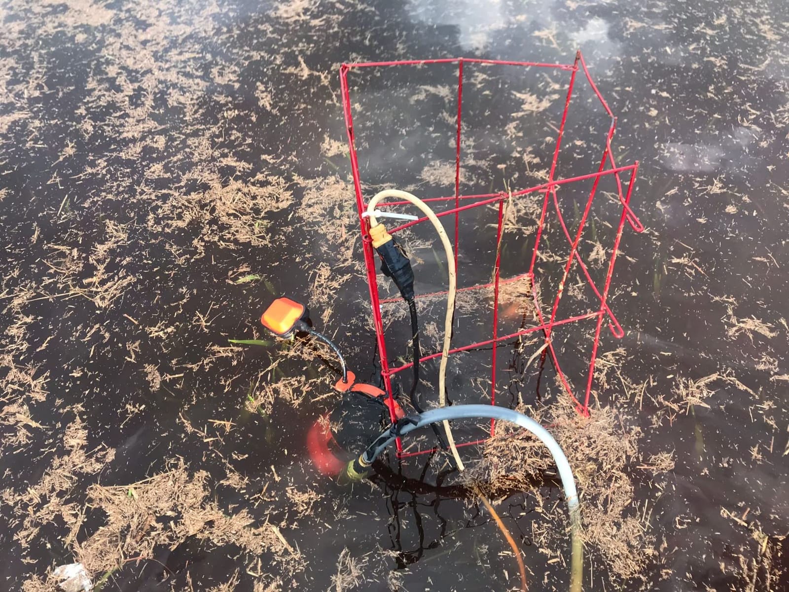 Prostormer 1HP 3700GPH Submersible Sump Pump with Automatic Float Switch customer photo 2
