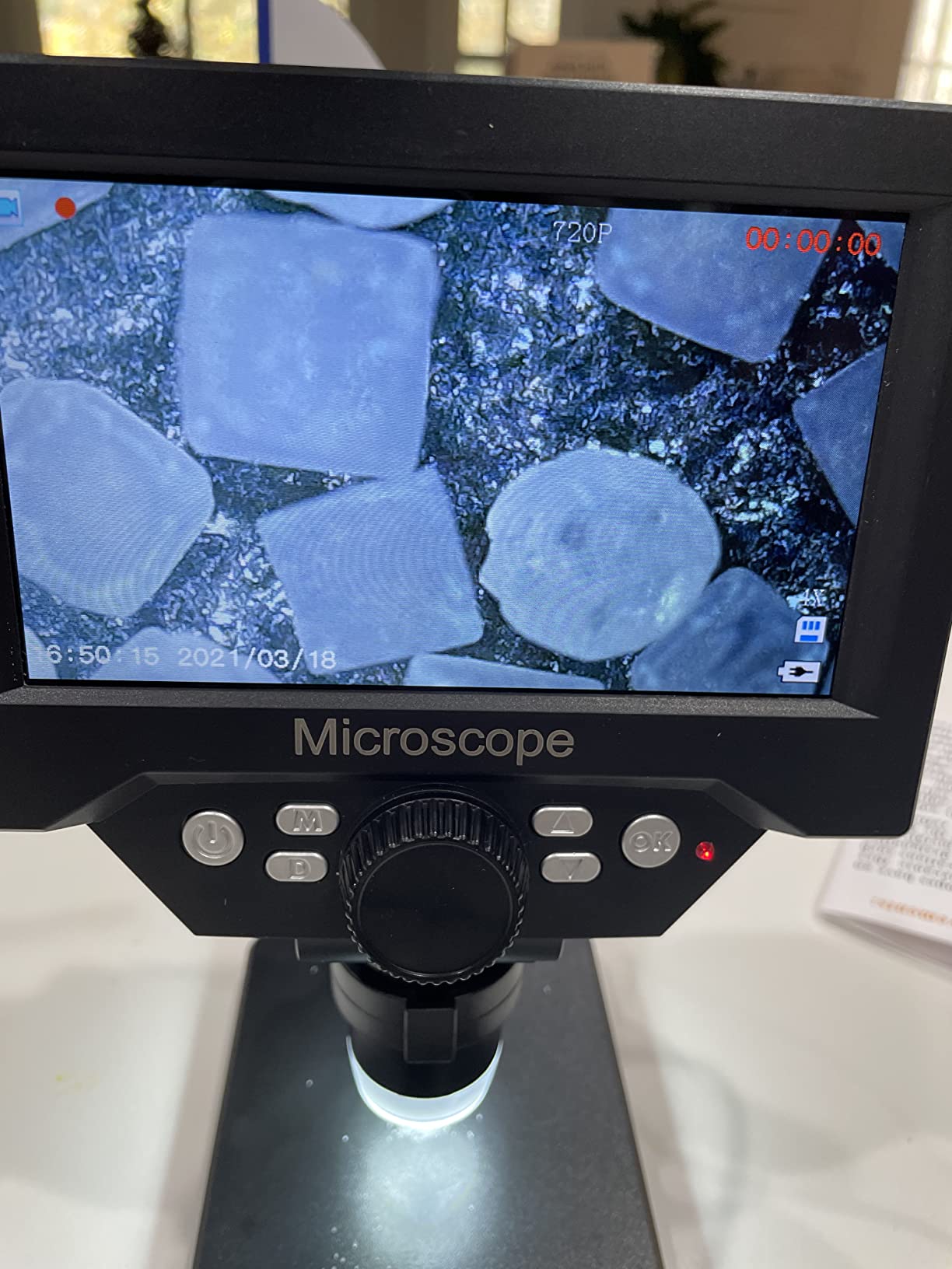 PalliPartners 40x-2000x Biological Compound Trinocular Microscope customer photo 2