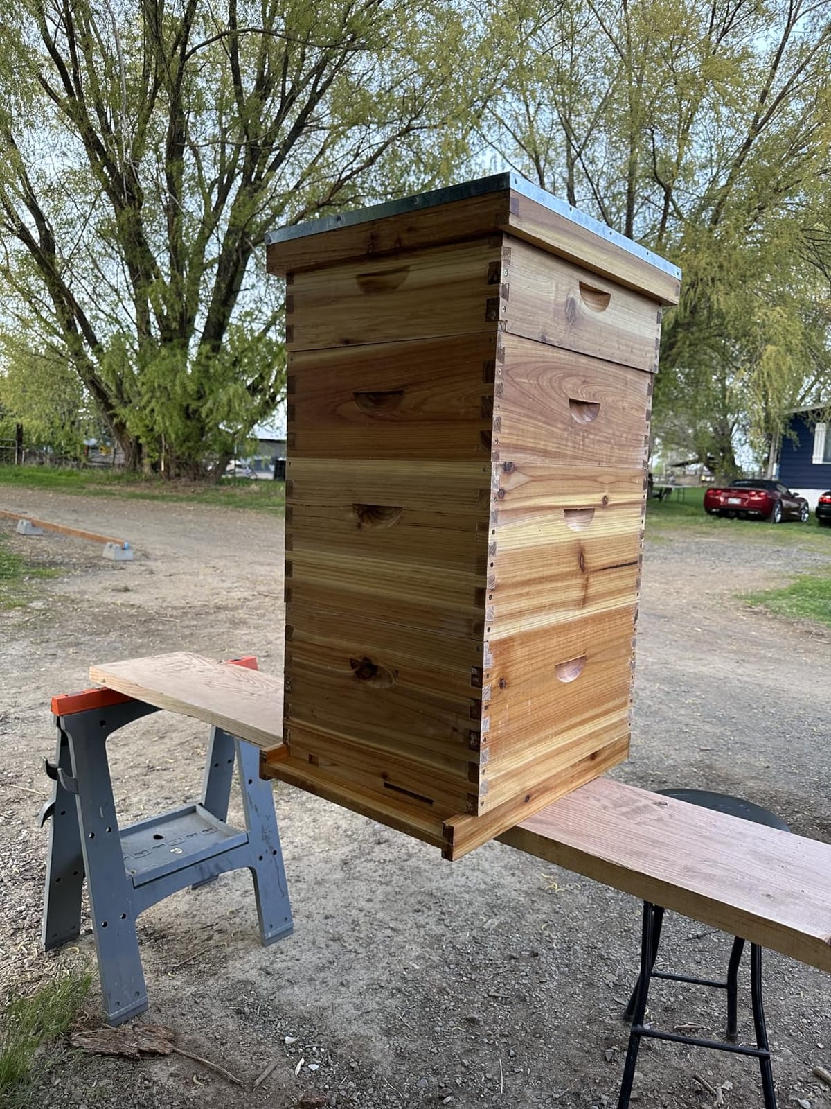 Bee Hive Box with Observation Window, 10 Frame Beeswax Coated Bee Hive Starter Kit for Beginners Beekeepers (1 Medium Box) customer photo 1