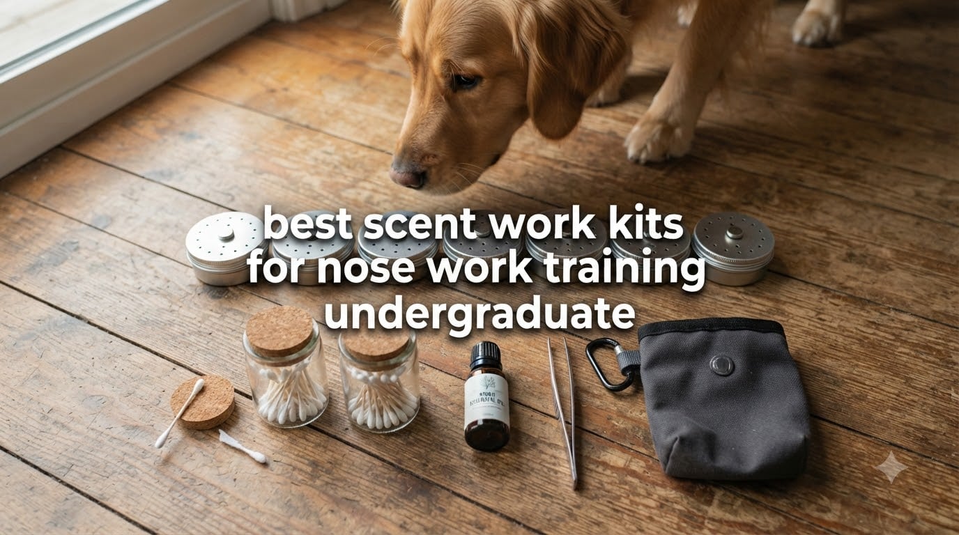 best scent work kits for nose work training undergraduate