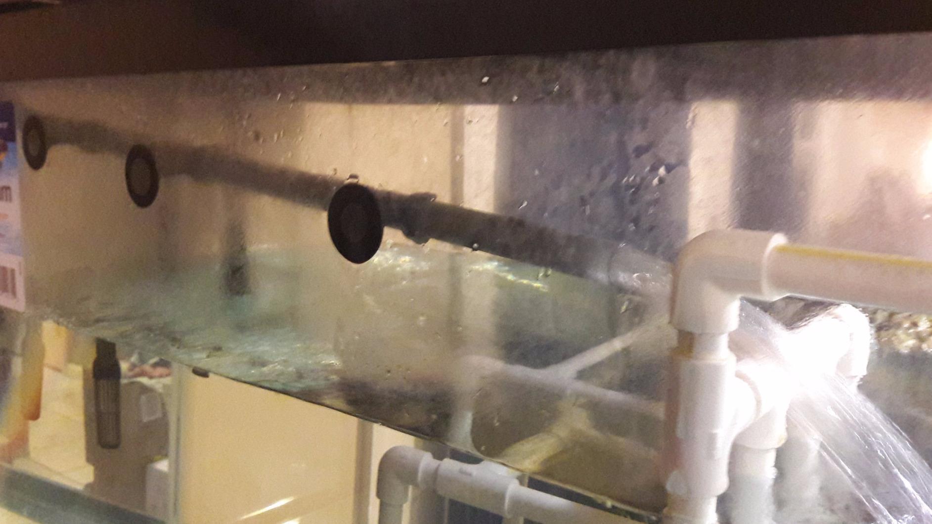 Penn-Plax Cascade 1500 Canister Filter, 350 GPH for Tanks Up to 200 Gallons customer photo 2