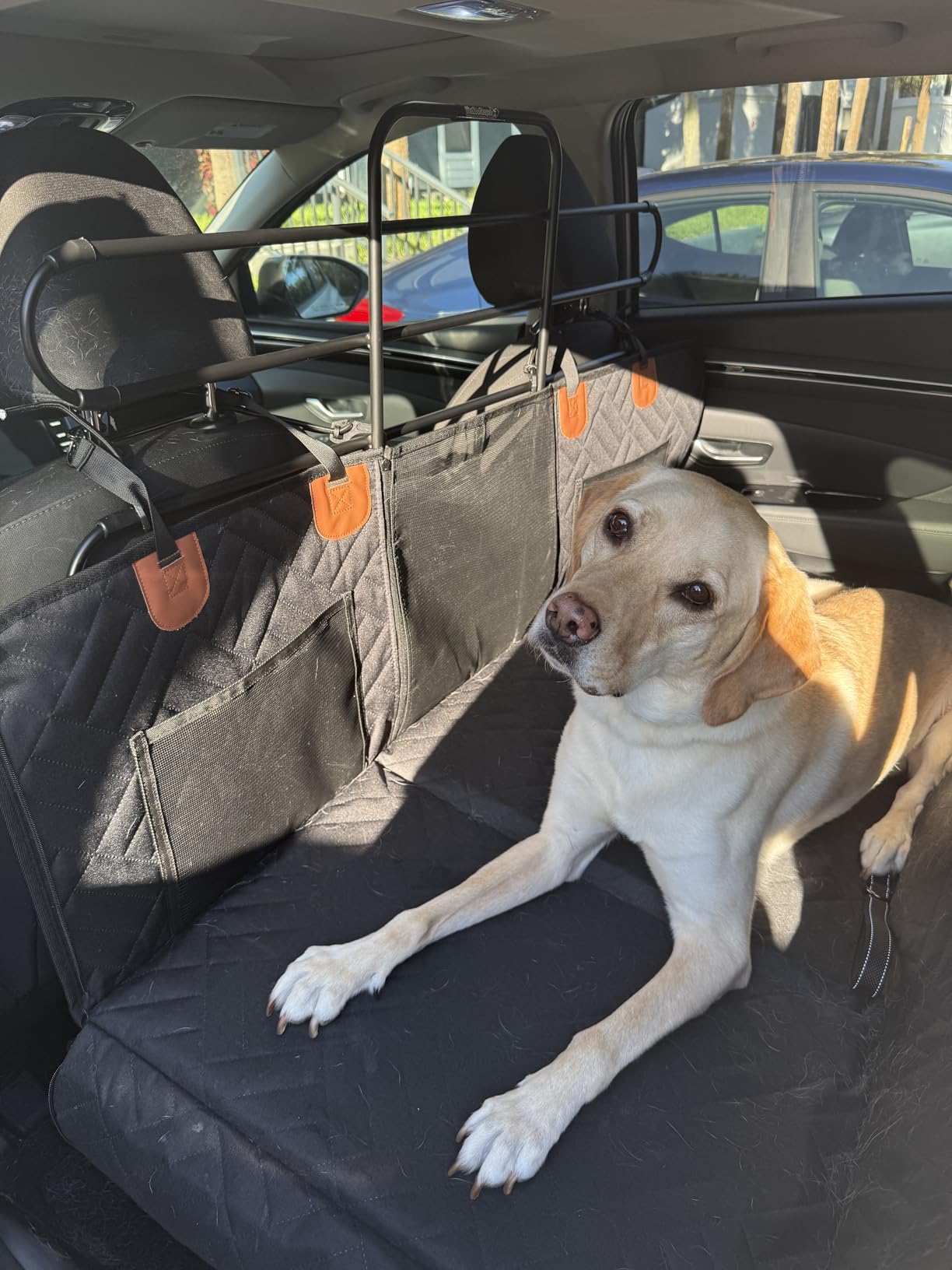 The ZooKeeper Original Zookeeper Car, SUV, and Truck Adjustable Dog Barrier customer photo 2