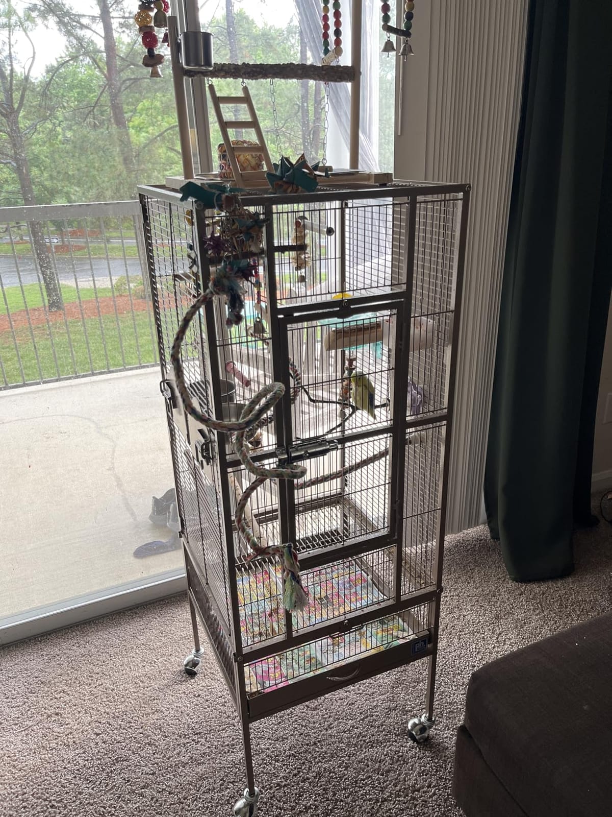 Prevue Pet Products Steel Bird Flight Cage with Wheels - Black, Large customer photo 2
