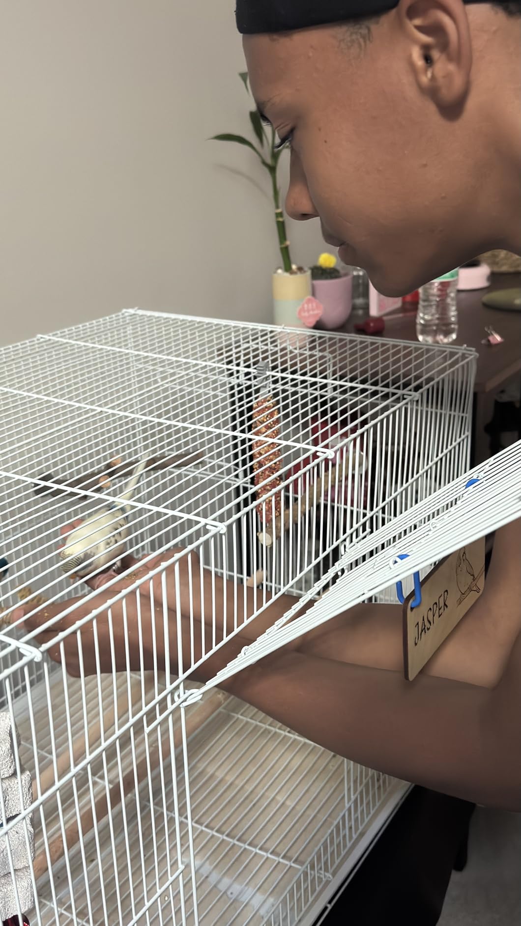 Prevue Pet Products Flight Cage Metal Steel Bird Crate, Multi-Bird Home Stackable Cage for Birds, Home Crate for Extra-Small Pet Parakeets, Finches, and More, White customer photo 1