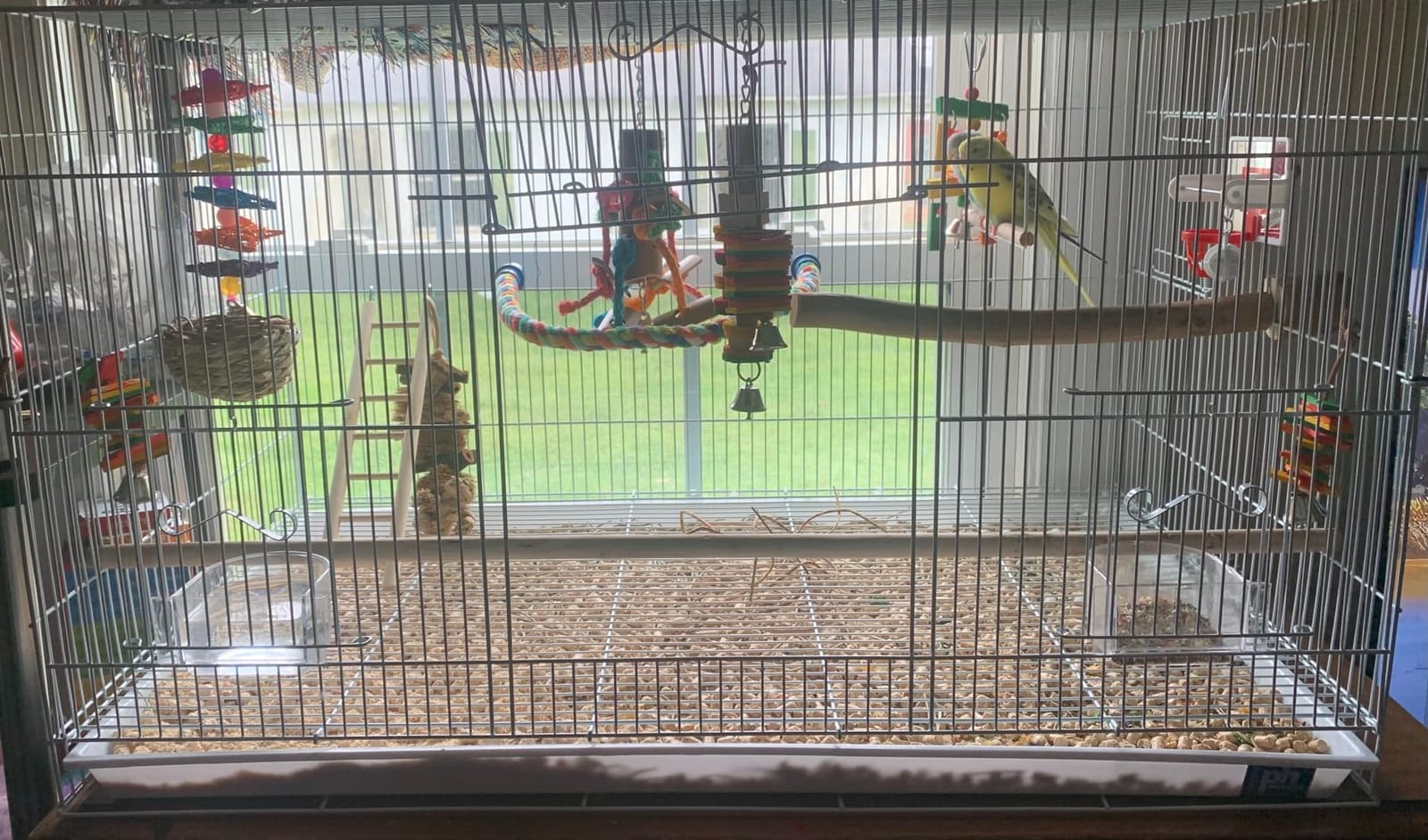 Prevue Pet Products Flight Cage Metal Steel Bird Crate, Multi-Bird Home Stackable Cage for Birds, Home Crate for Extra-Small Pet Parakeets, Finches, and More, White customer photo 2
